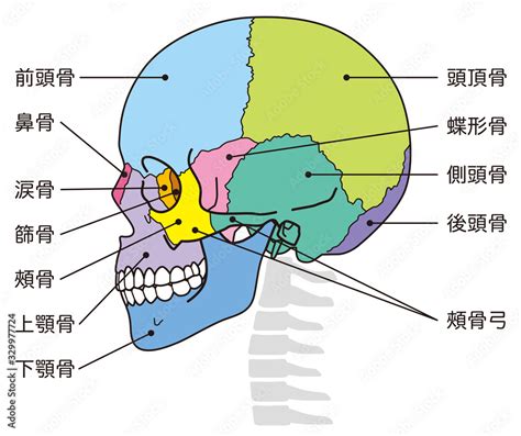 頭上